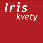 Iris Kvety